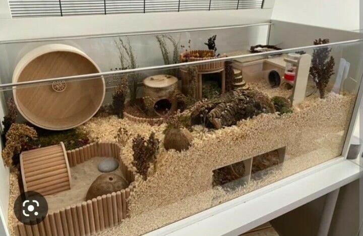 Hamster Cage