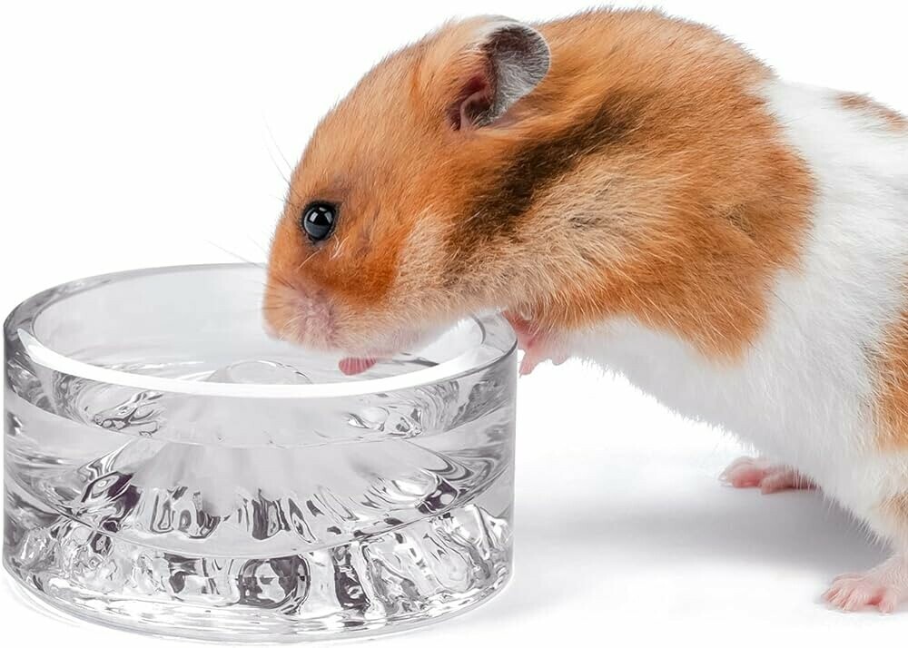 hamsterharmony